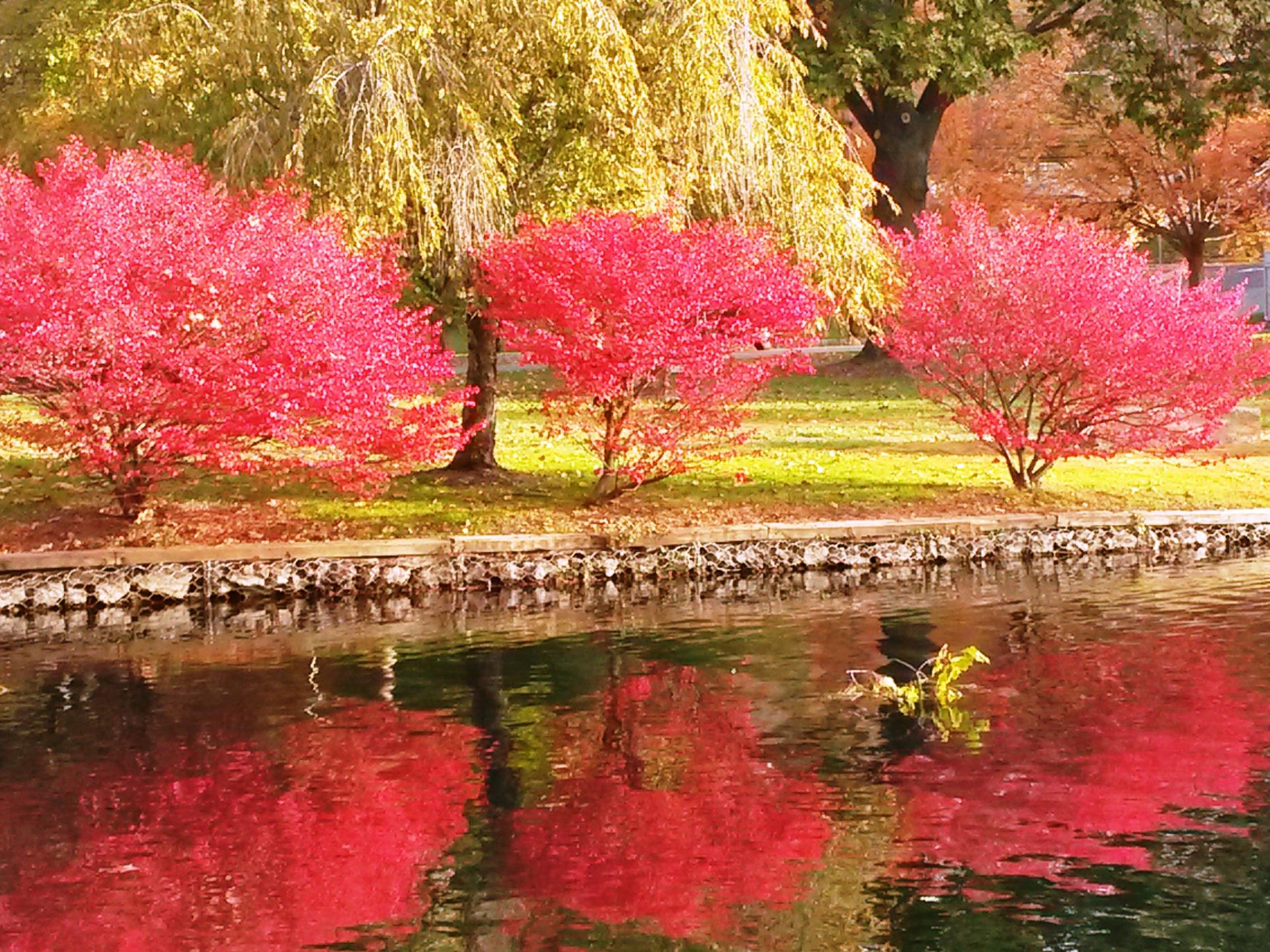 Explore Somerset County