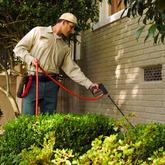 Treatment Options for Getting Rid of Insects
