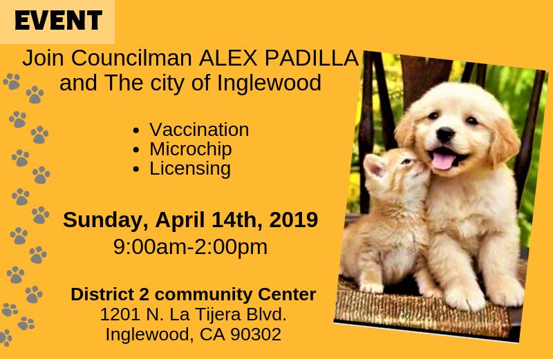Get your pet ready this Spring!