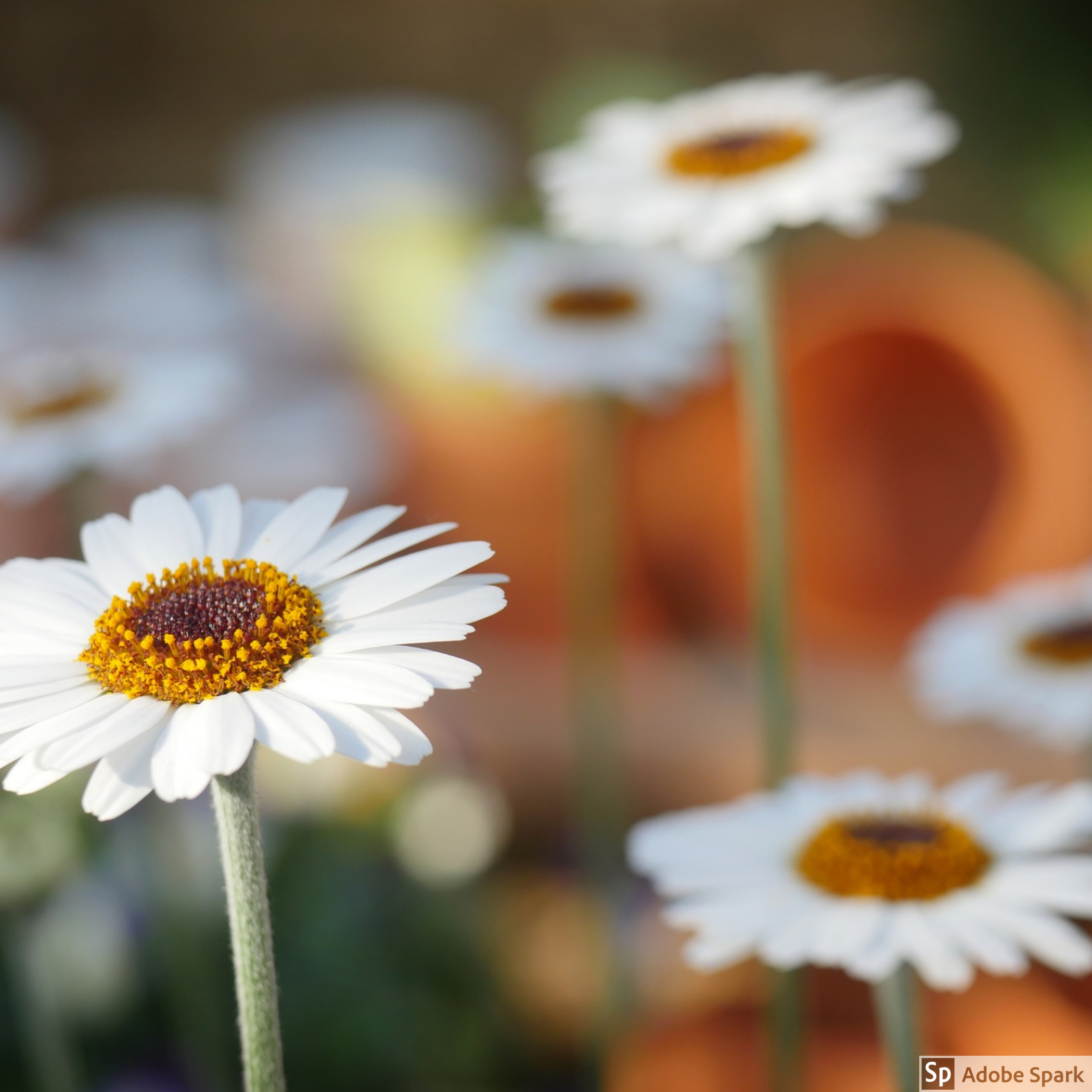 THE PERFECT GUIDE TO SPRING CLEANING