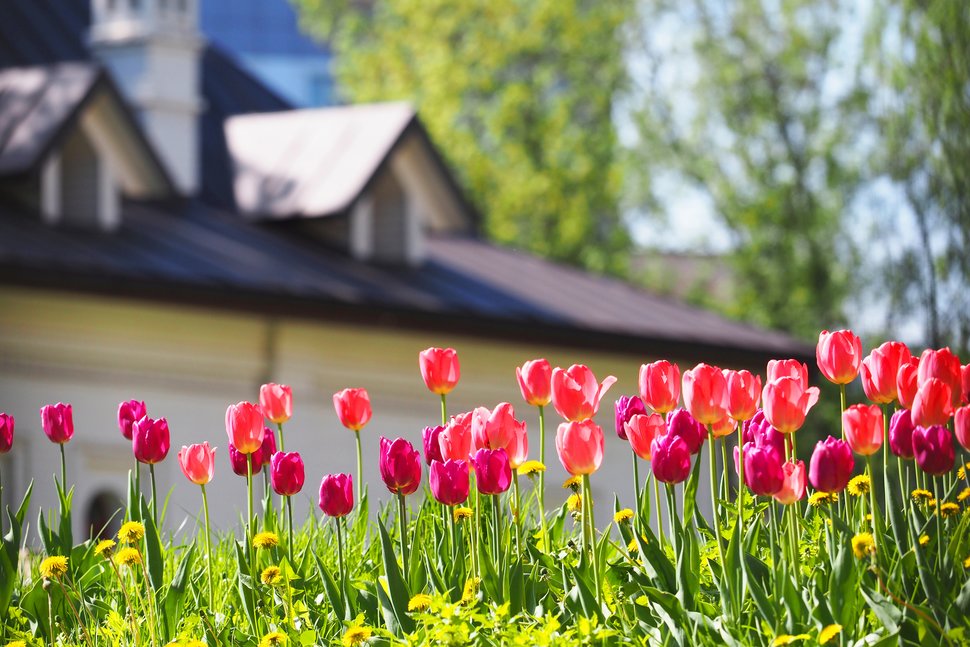Why Spring Is the Perfect Time to Sell Your Home