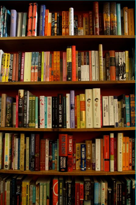 Cluttered Bookshelf