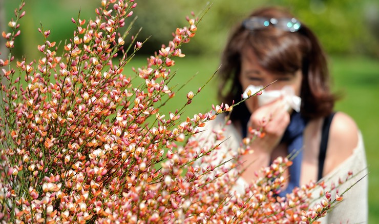 Got Allergies? 9 Plants to Avoid and What to Grow Instead
