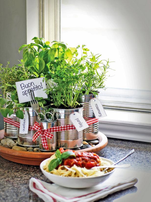 Grow Your Own Kitchen Countertop Herb Garden
