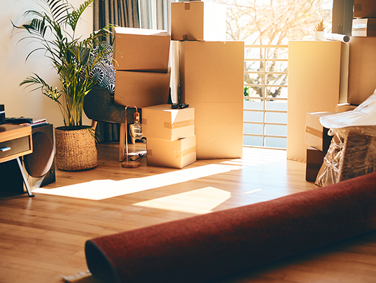 7 Steps for Staying Organized During a Move