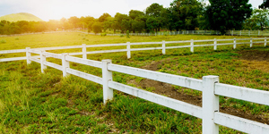 Fairview - Lucas | Collin County's Rural Gem!