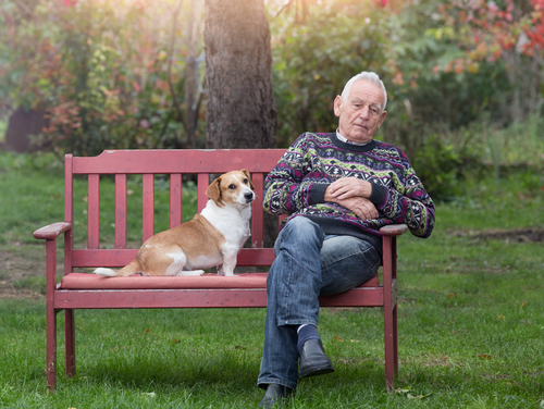 How Do Pets Benefit Their Owners?