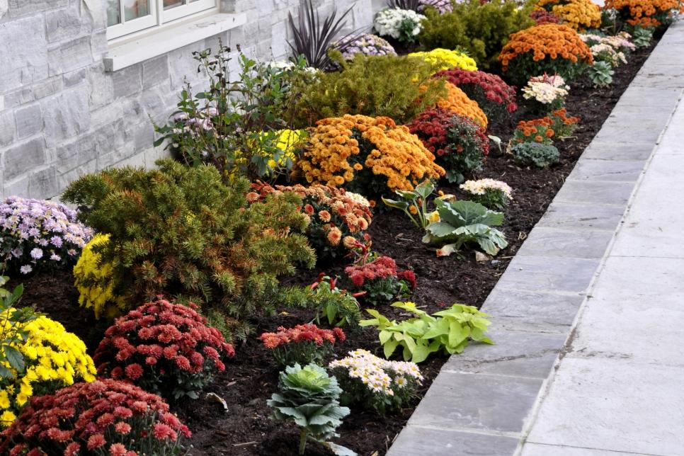 How Do You Create Curb Appeal?