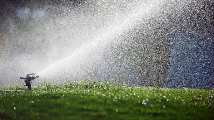 5 ways you're ruining your lawn