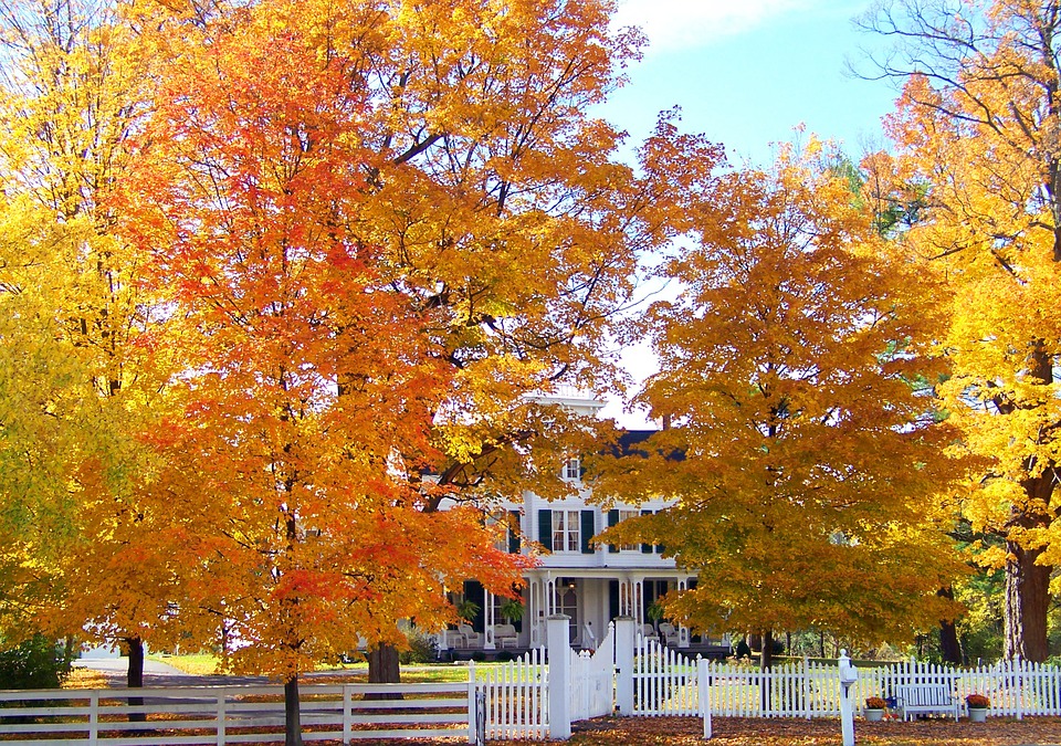 How to Get Your Home Ready for Fall
