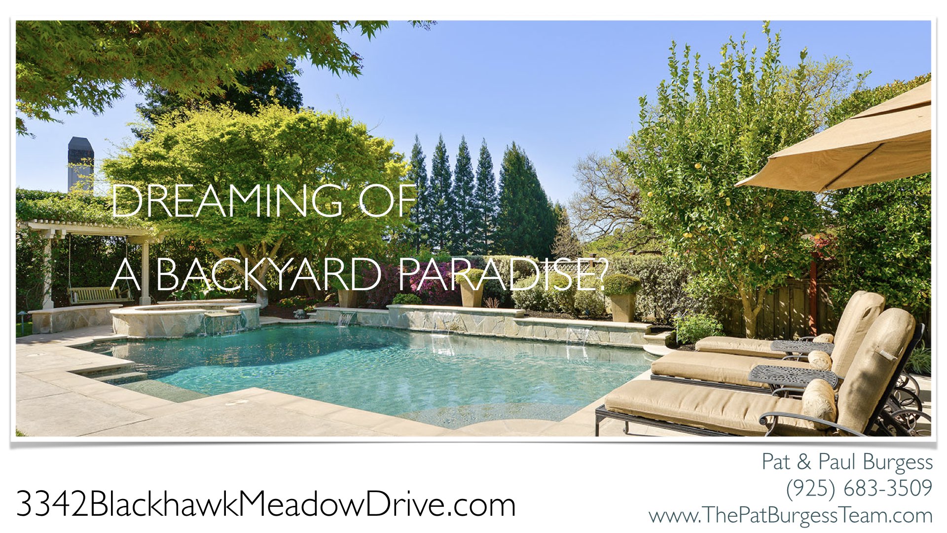 Backyard Paradise!