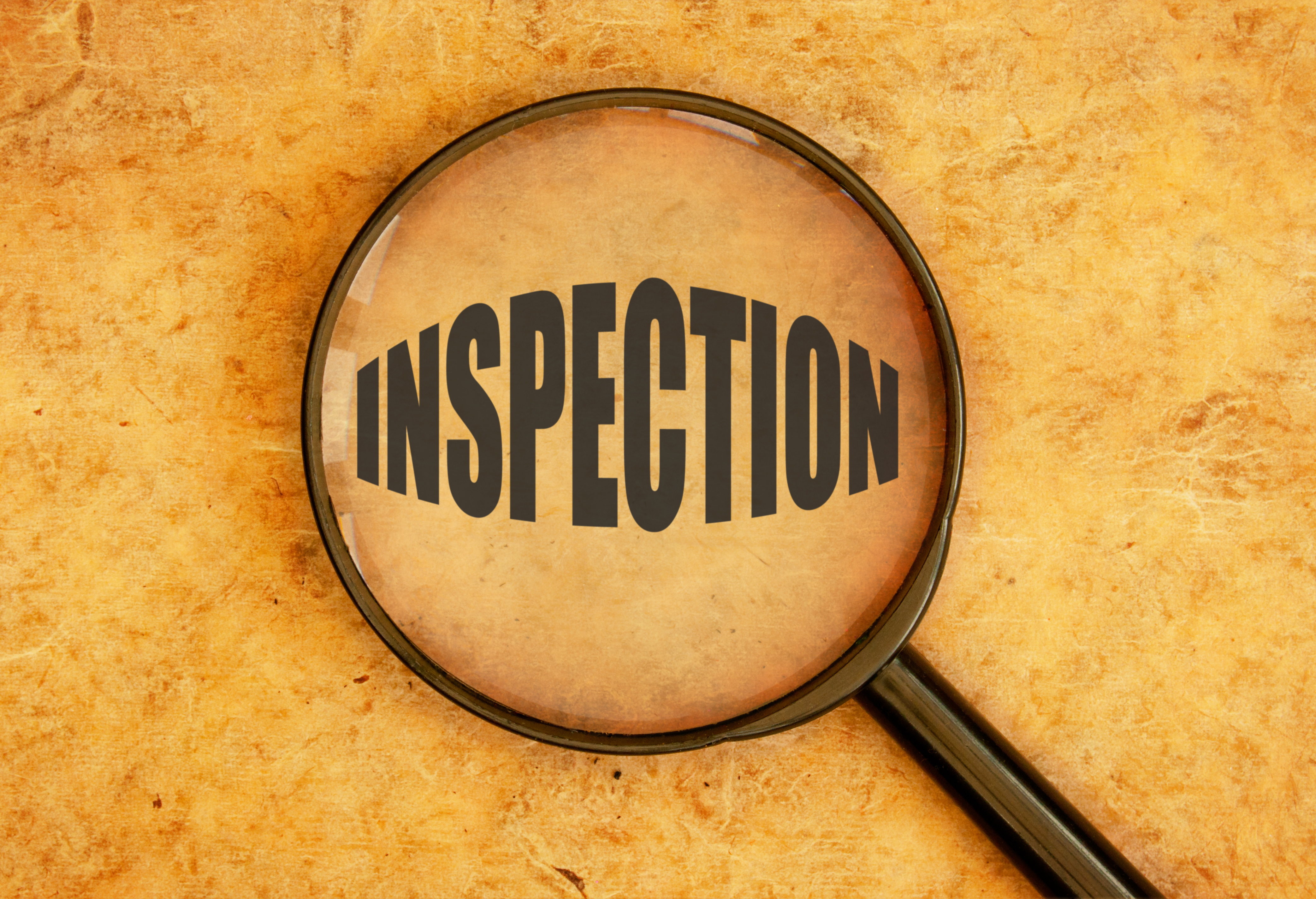 Is a Professional Home Inspection Worth the Cost?