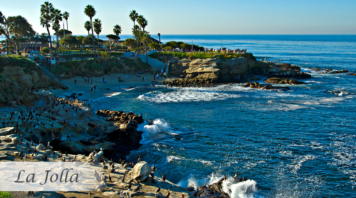 About | La Jolla