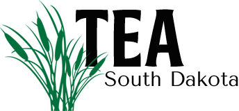 Welcome to Tea