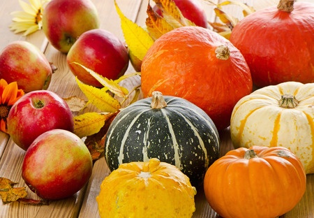 FALL IS HERE!