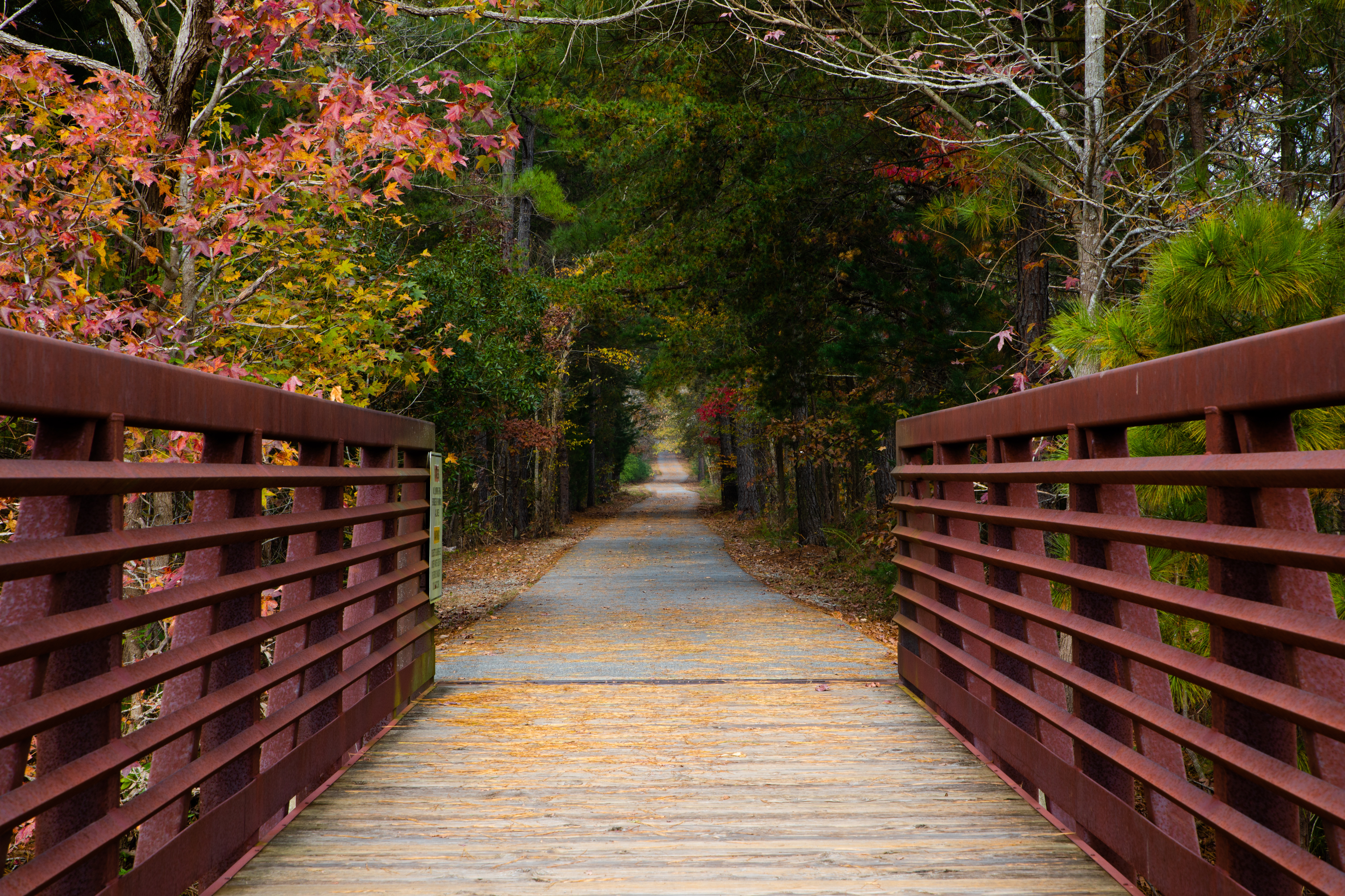 7 Things to Do in Greensboro this November