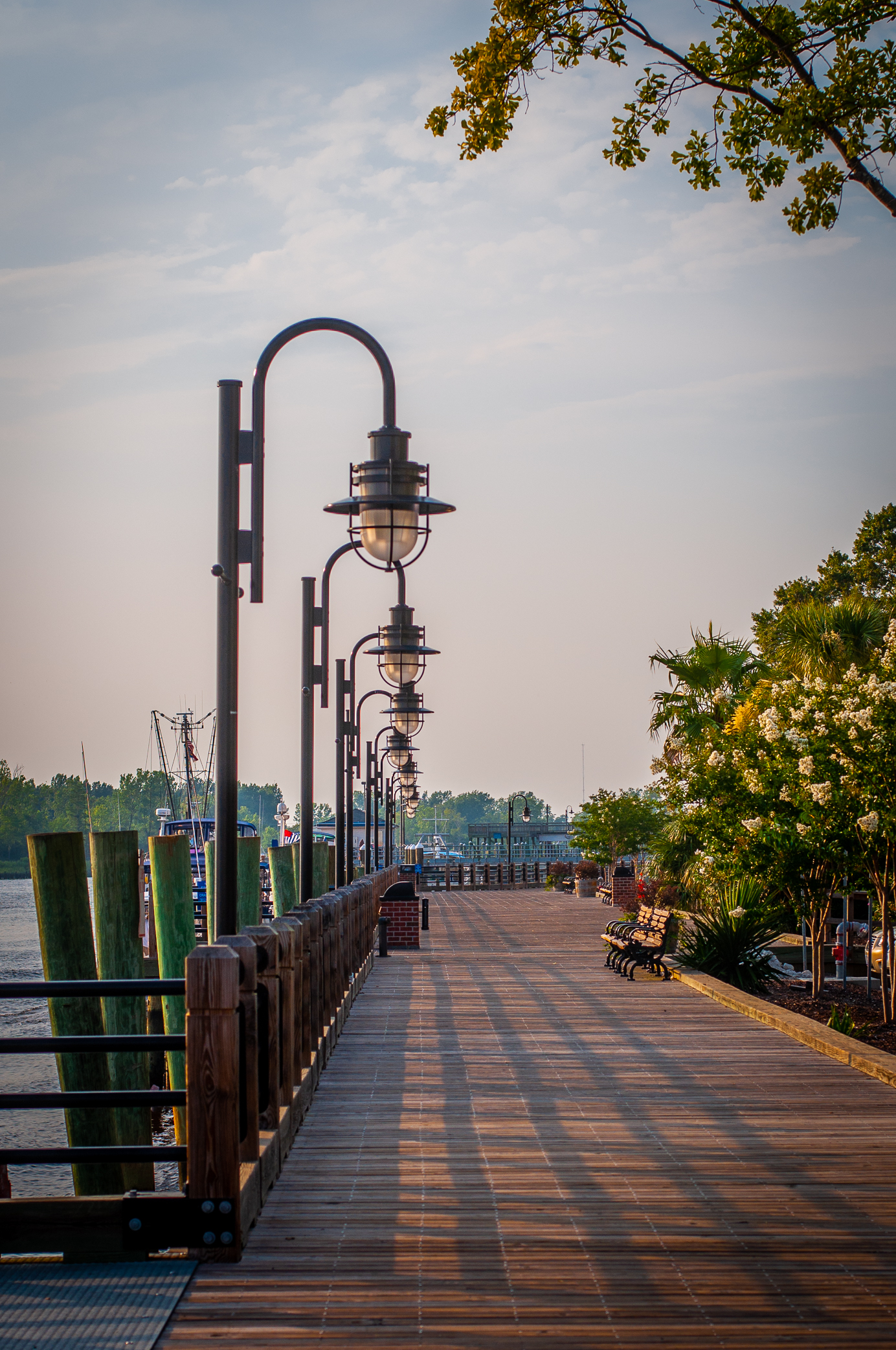 Port City Picks: 10 Ways to Explore Wilmington