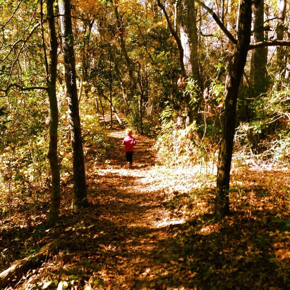 Top 3 Places to Hike in Virginia Beach