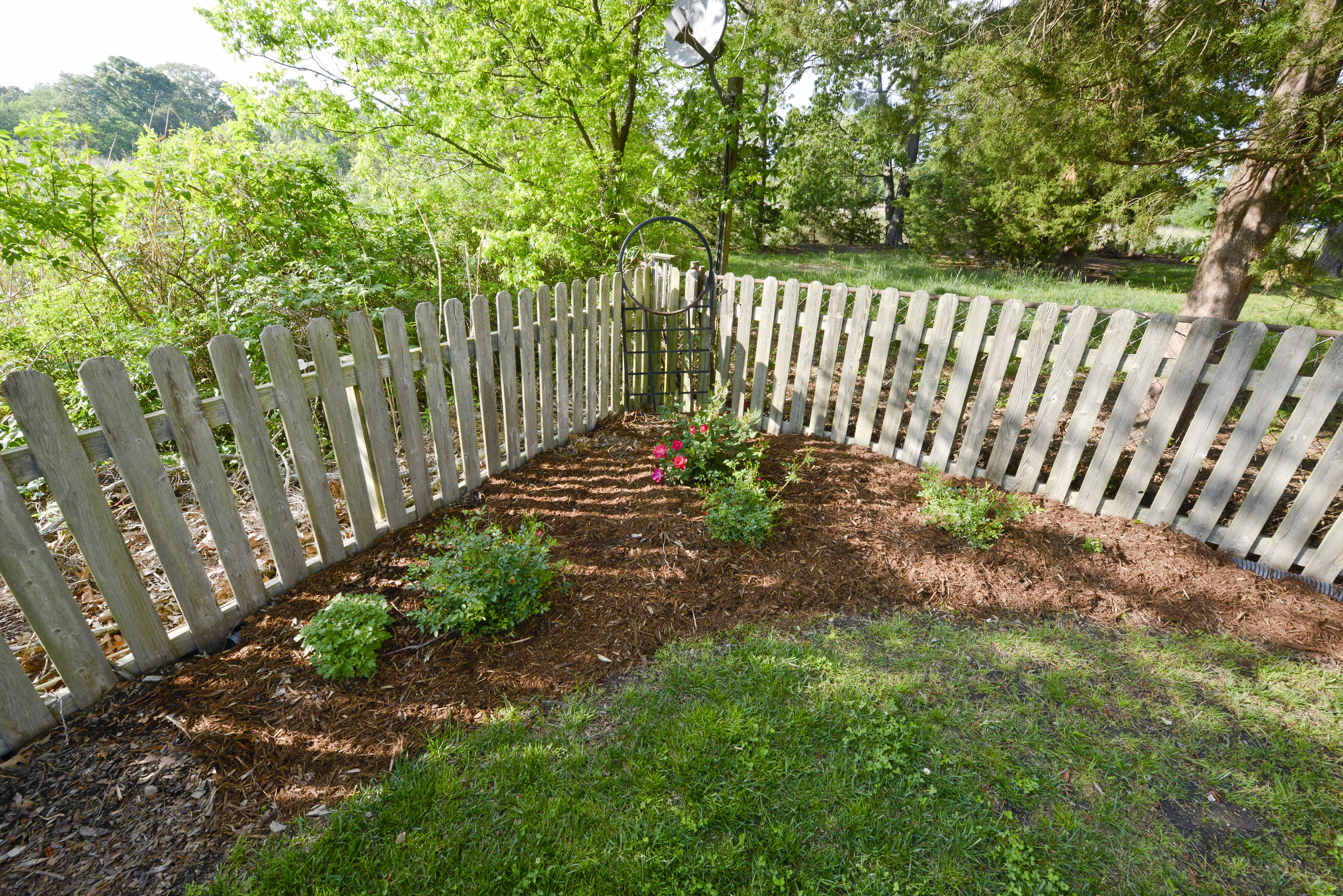 Designing Backyard Spaces: Tips From a Pro