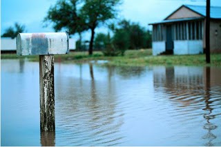 Stay Afloat in Flood Insurance: Tips to Keep Your Head Above Water