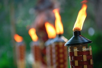 8 Ways to Enjoy a Mosquito-Free Yard This Summer