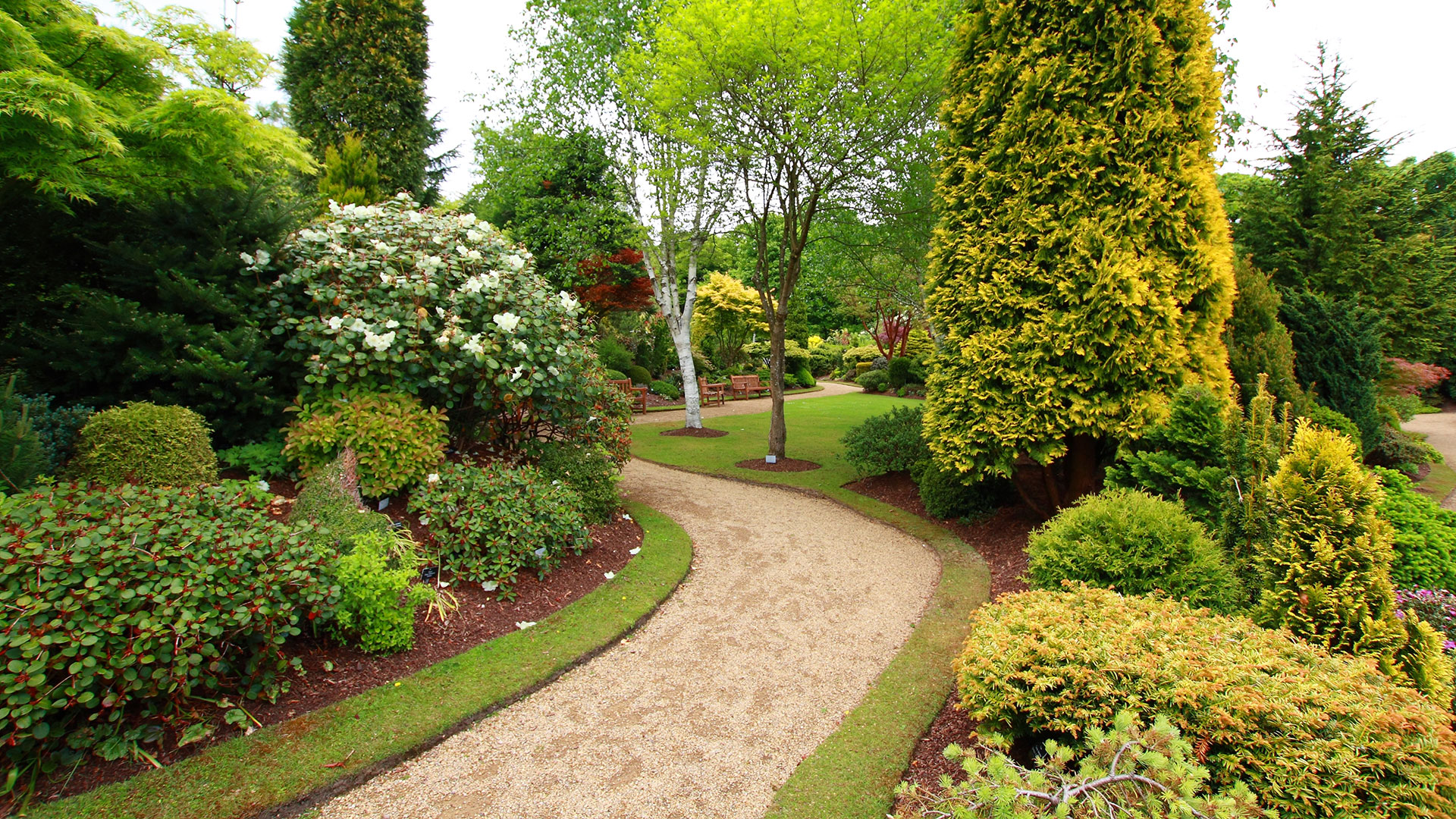 4 Landscaping Mistakes to Avoid