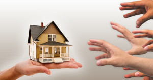 Own It: Deciding Between Multiple Offers
