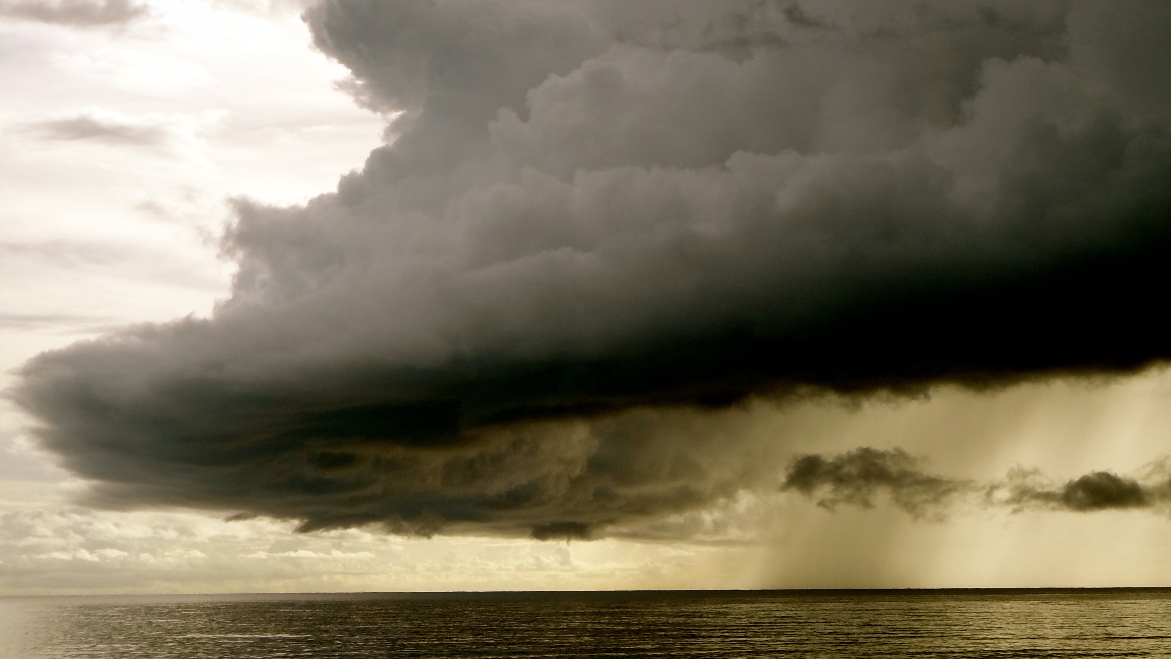 Hurricane Checklist for Tampa Bay Homeowners