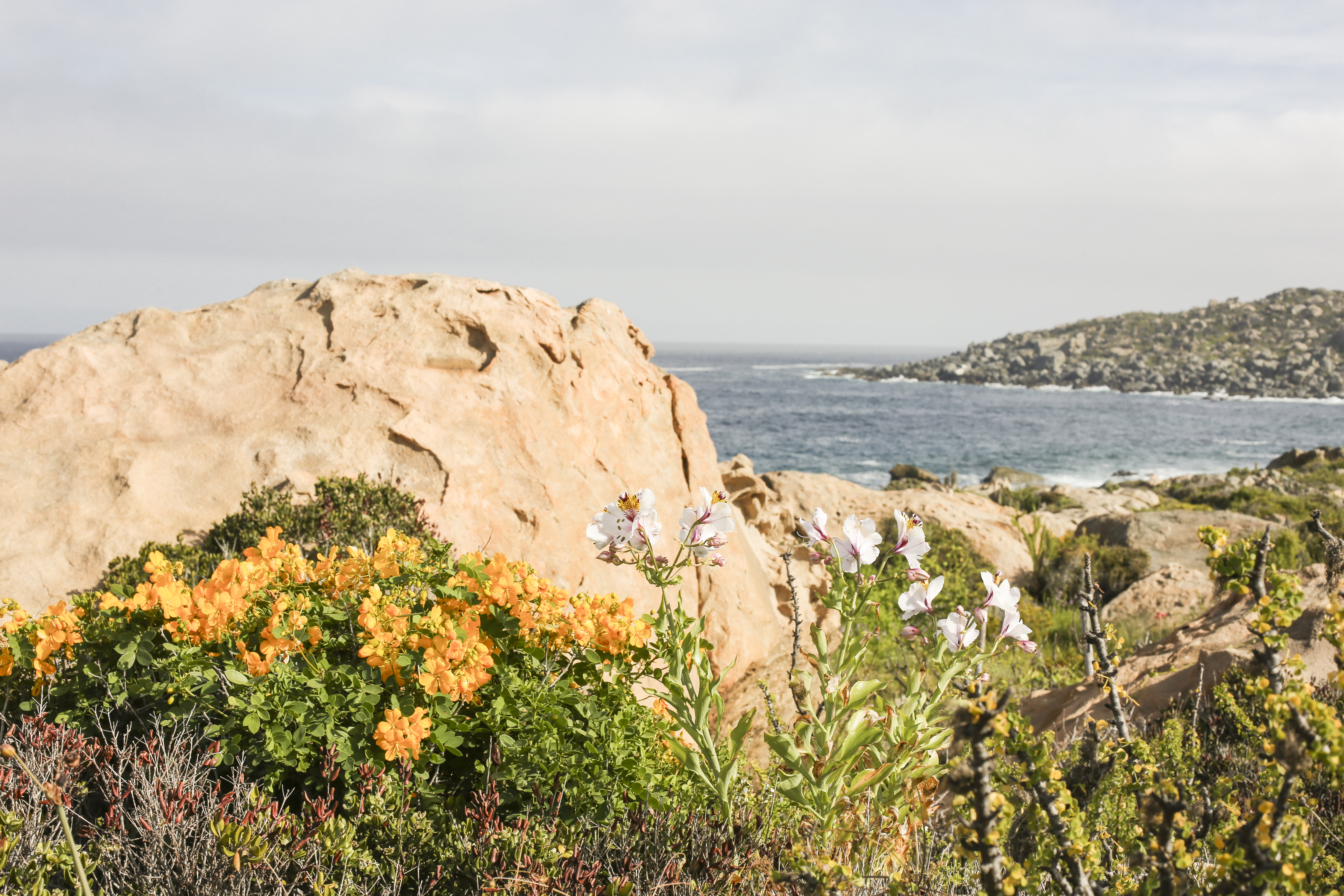 Exclusive Beachfront Property in Chile