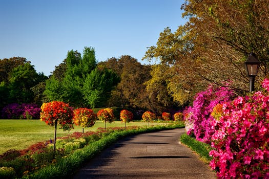 Curb Appeal: Staging for Streetview