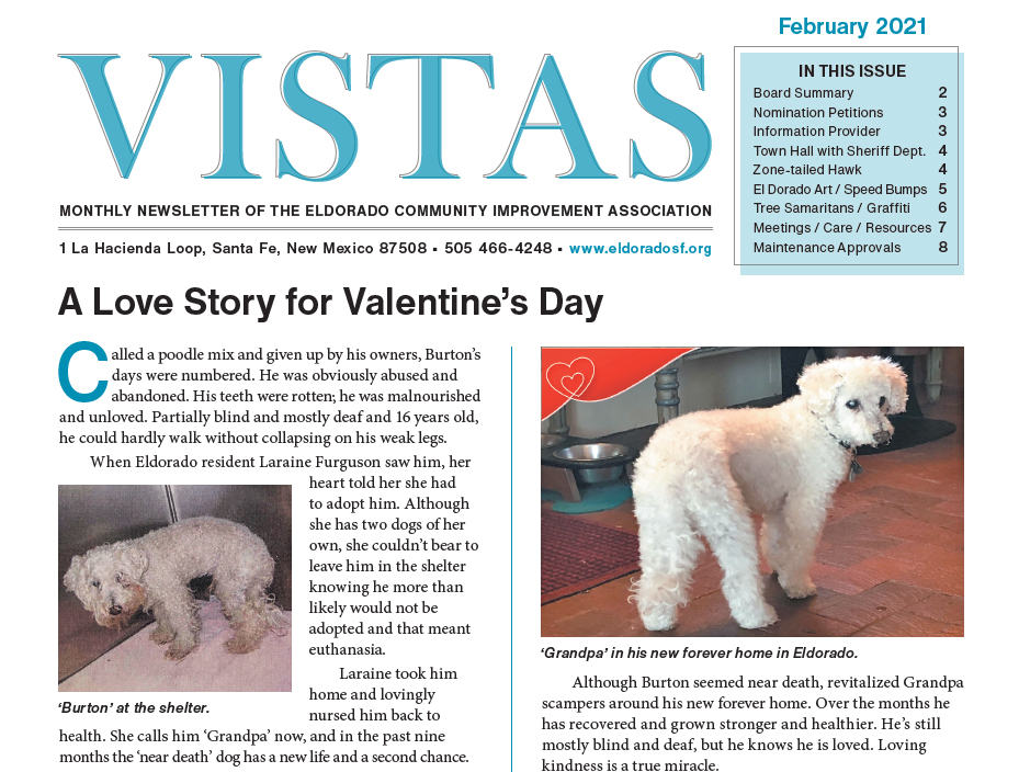 February Vistas Community Newsletter Now Available