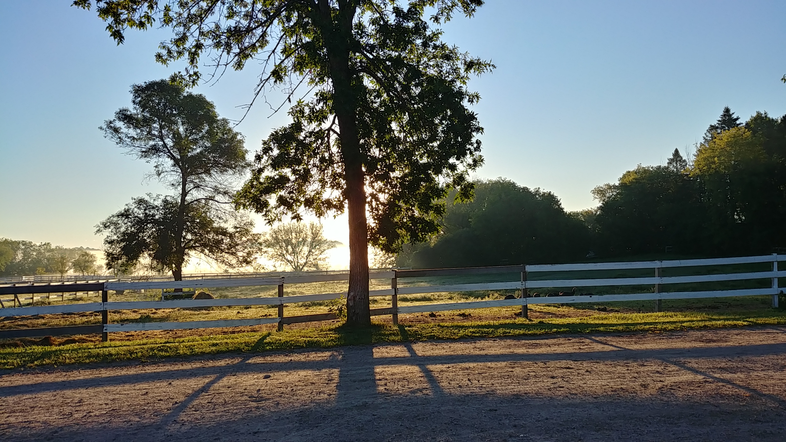 sunrise at the ranch