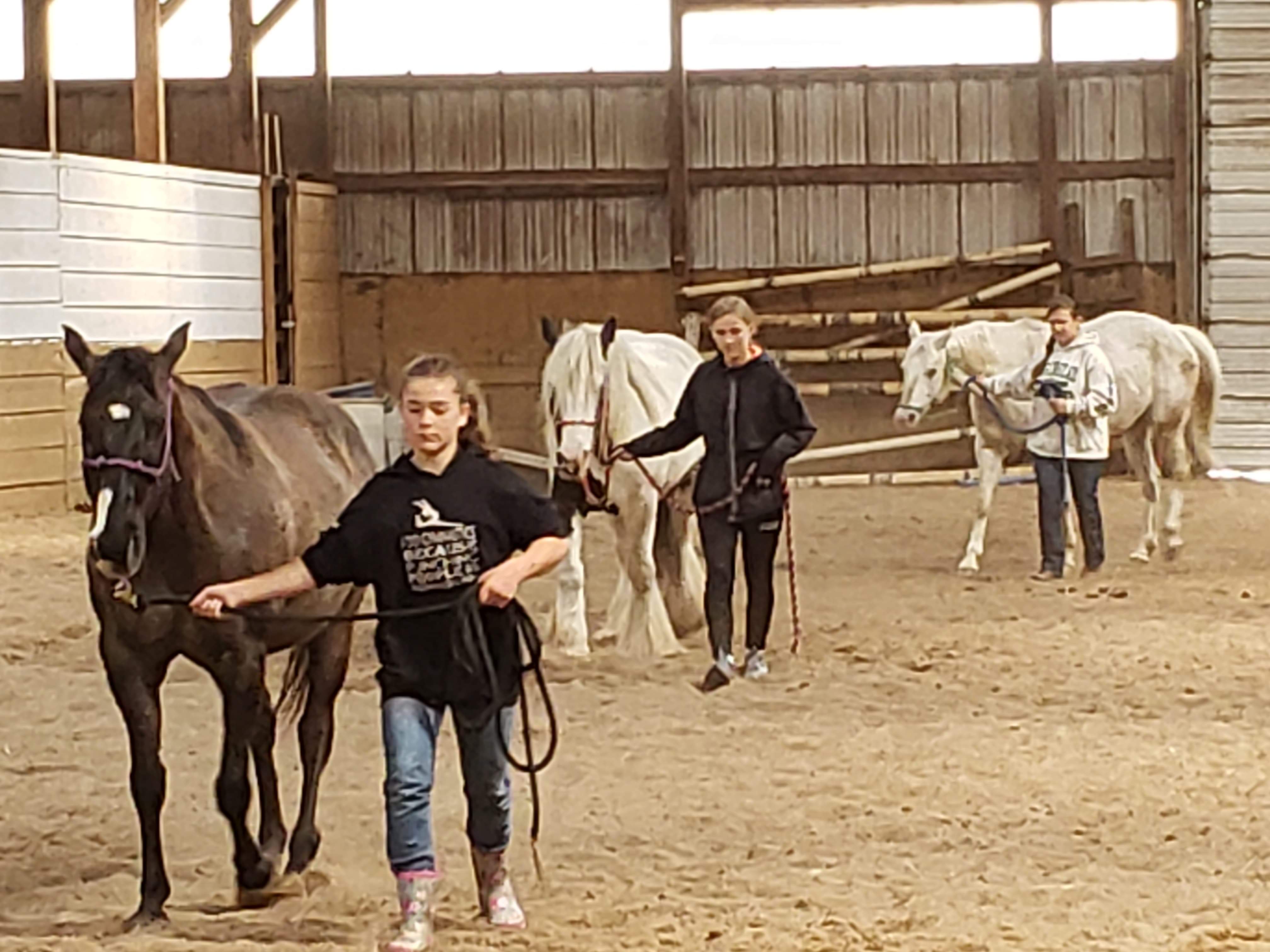 teens and horses in white bear lake