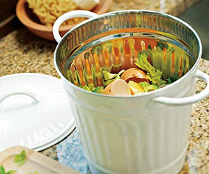 Gardening even on Your Kitchen Windowsill