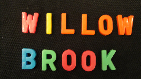 Willow Brook at Sun City Hilton Head