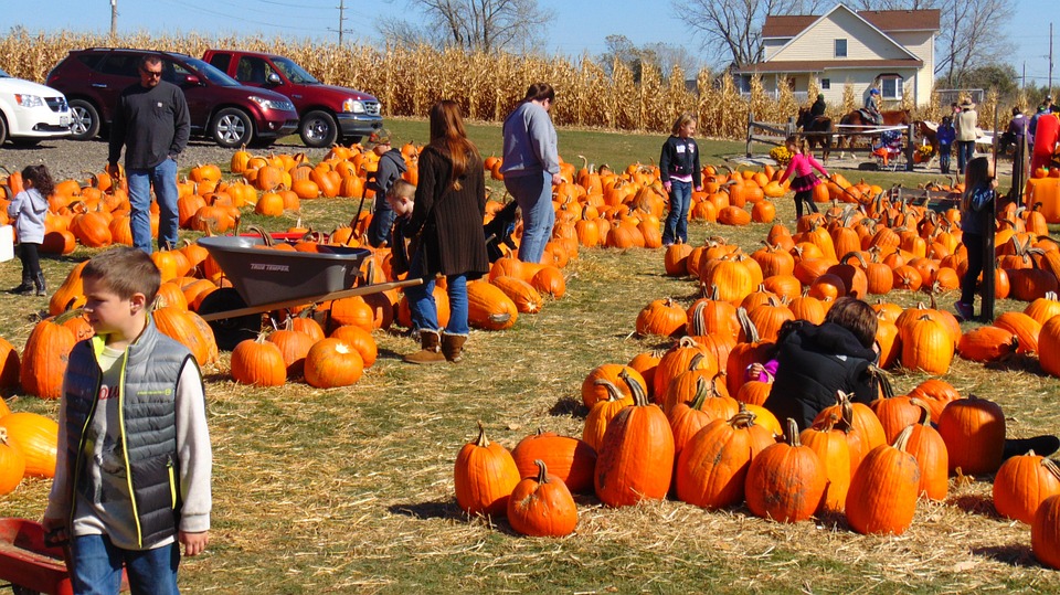 Our Top 5 Things to Do in Houston this Fall!