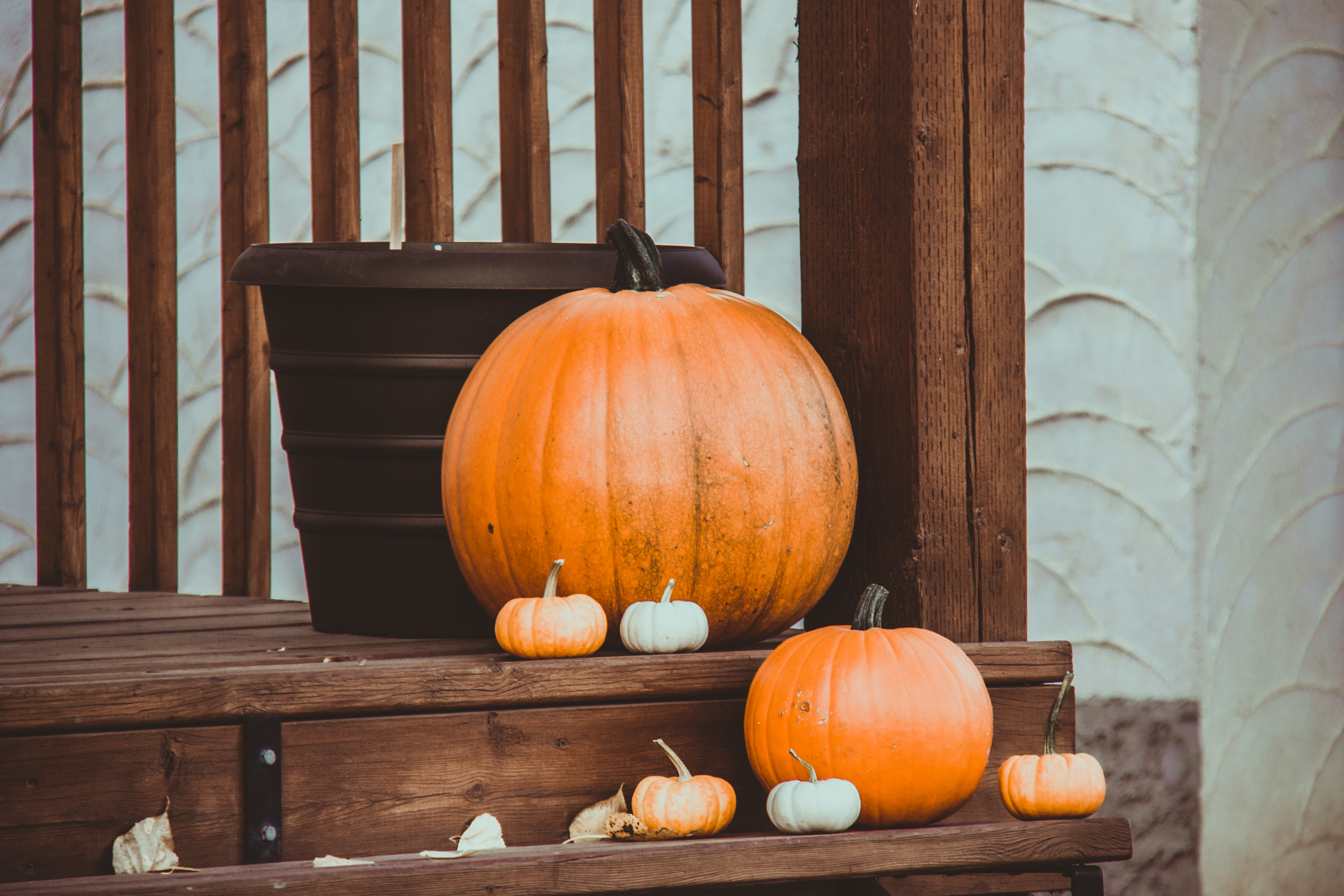 5 Reasons Why Fall is the Best Time to BUY