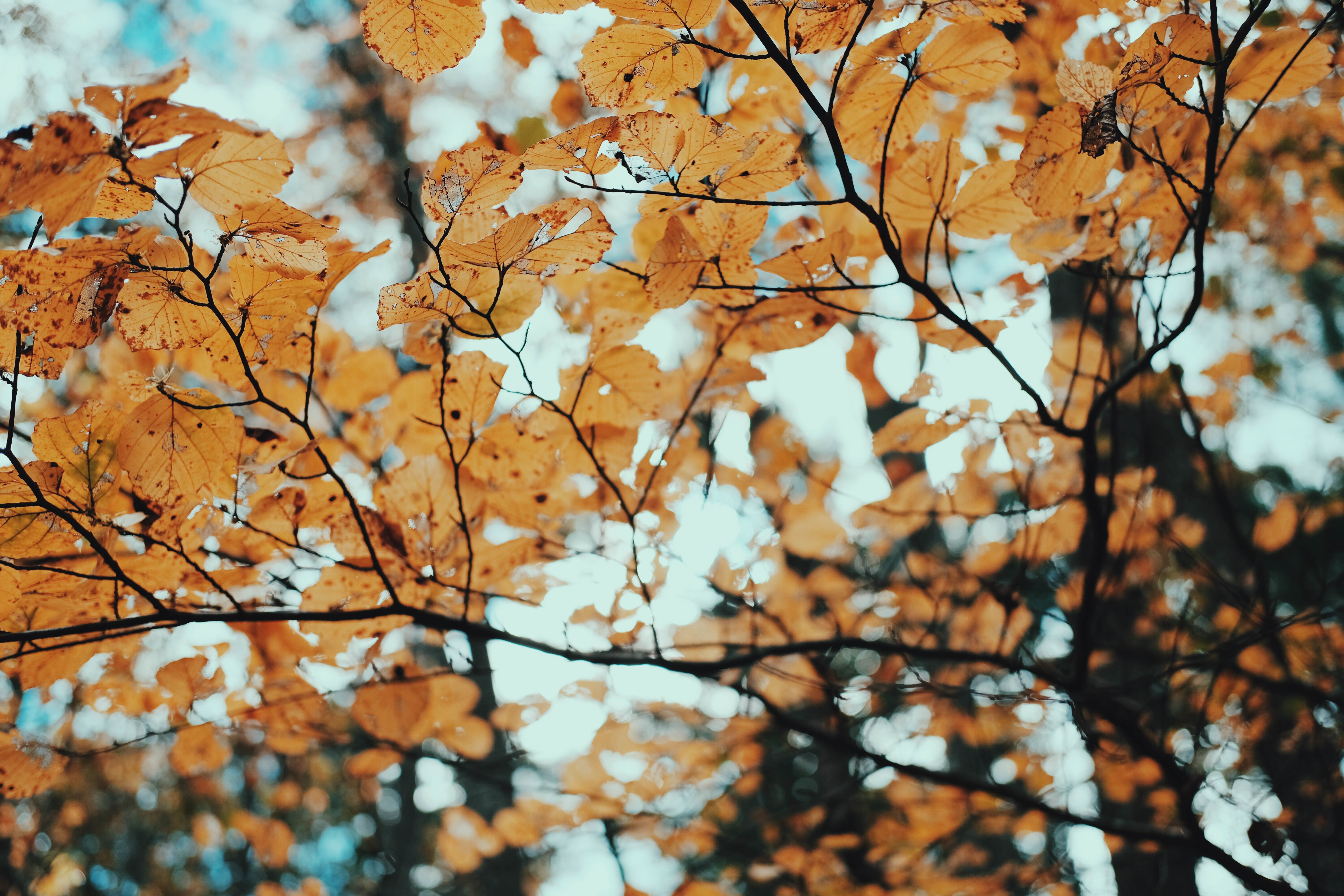 7 Ways to Prepare Your Home for Fall