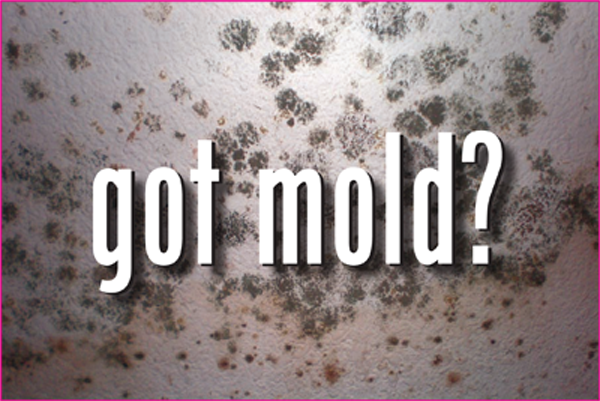 Knowledge is power; protect your home from MOLD!
