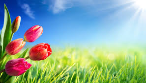 Hello Spring