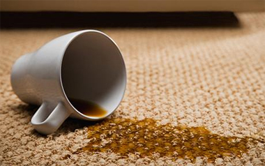 Removing Stains From Your Carpets