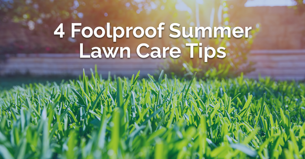 Summer Lawn Care Tips The Luxury Properties Group - 