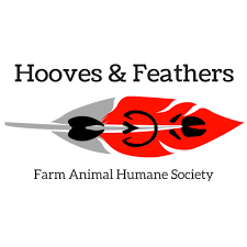 Spotlight Saturday Episode 11 Hooves and Feathers