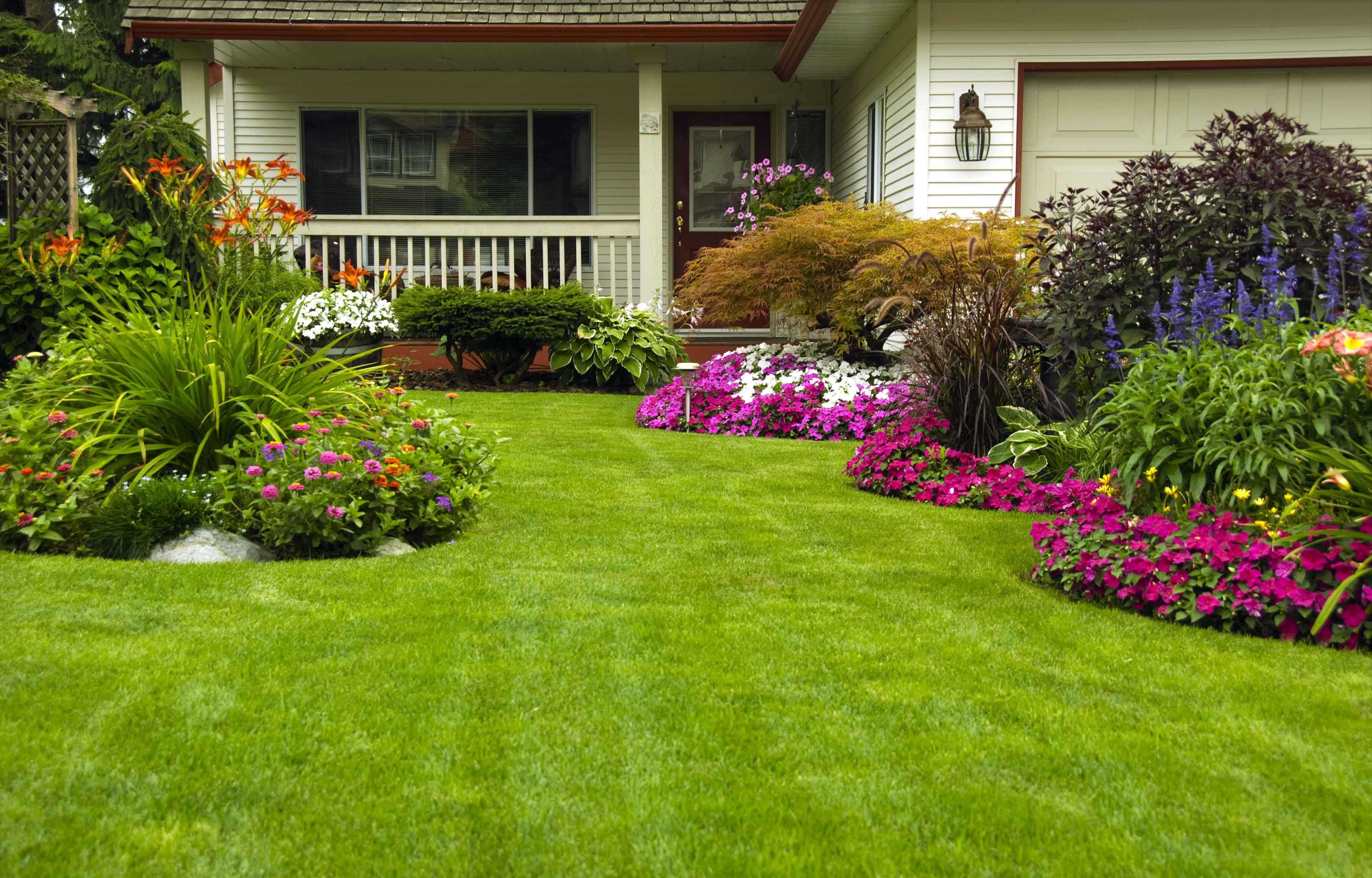 Buying a Home is Just Like on House Hunters!