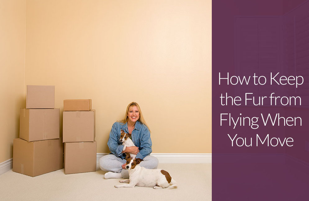 How to Keep the Fur from Flying When You Move
