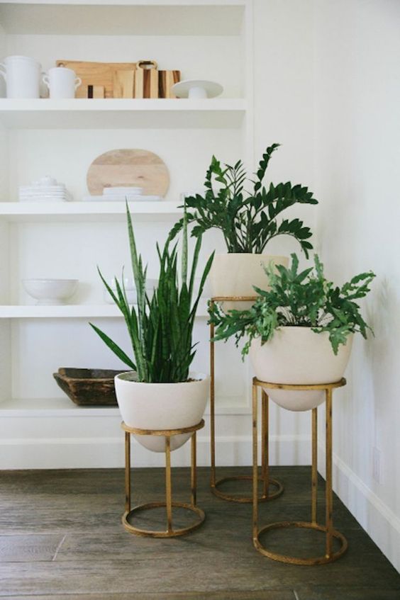 How to Create a Luxury Lifestyle at Home