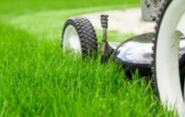 Lawn Maintenance Tips for Fall
