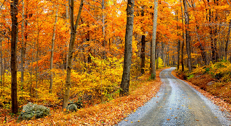 4 Reasons To Buy A Home This Fall!