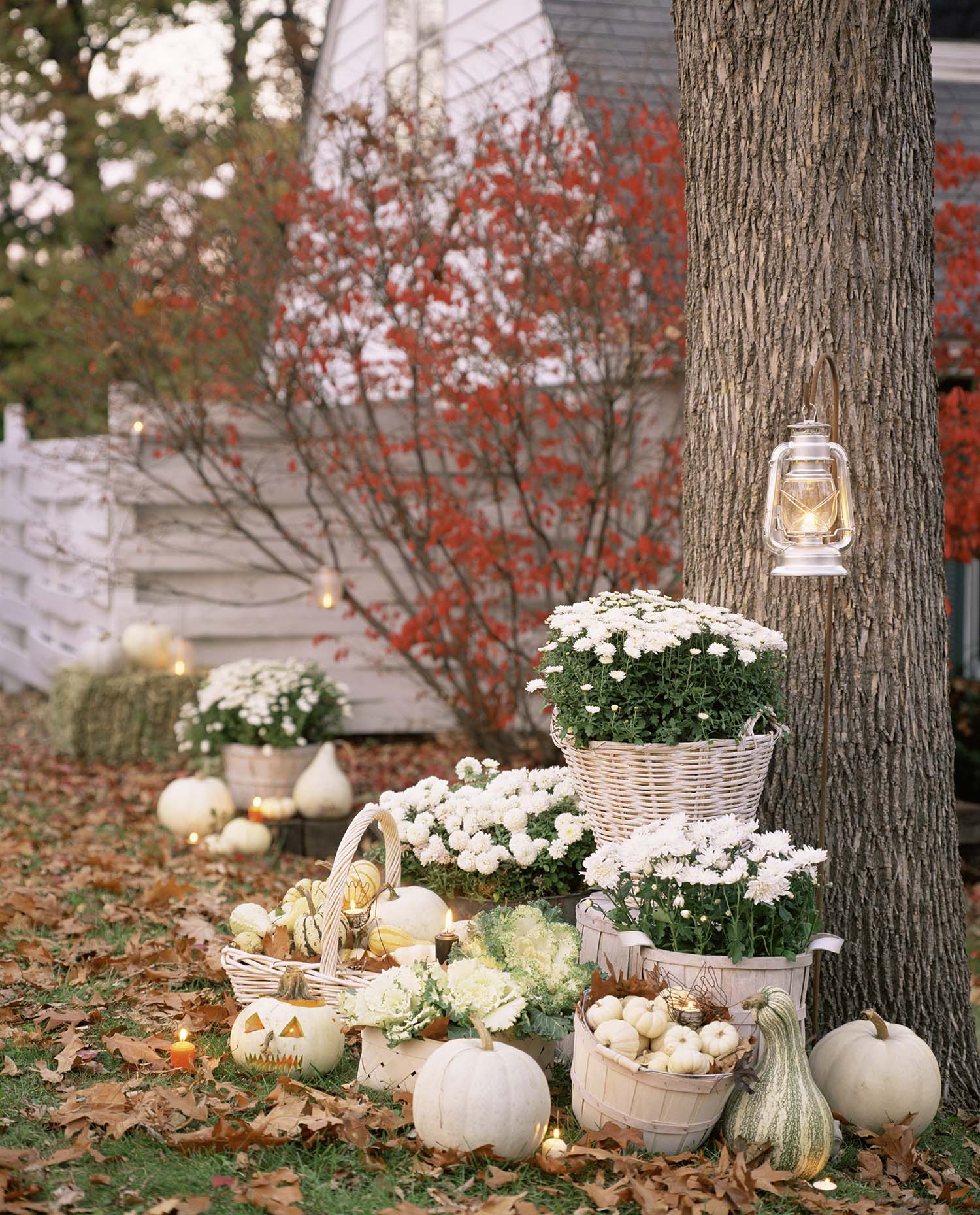 31 Amazing fall decorating ideas using white pumpkins
