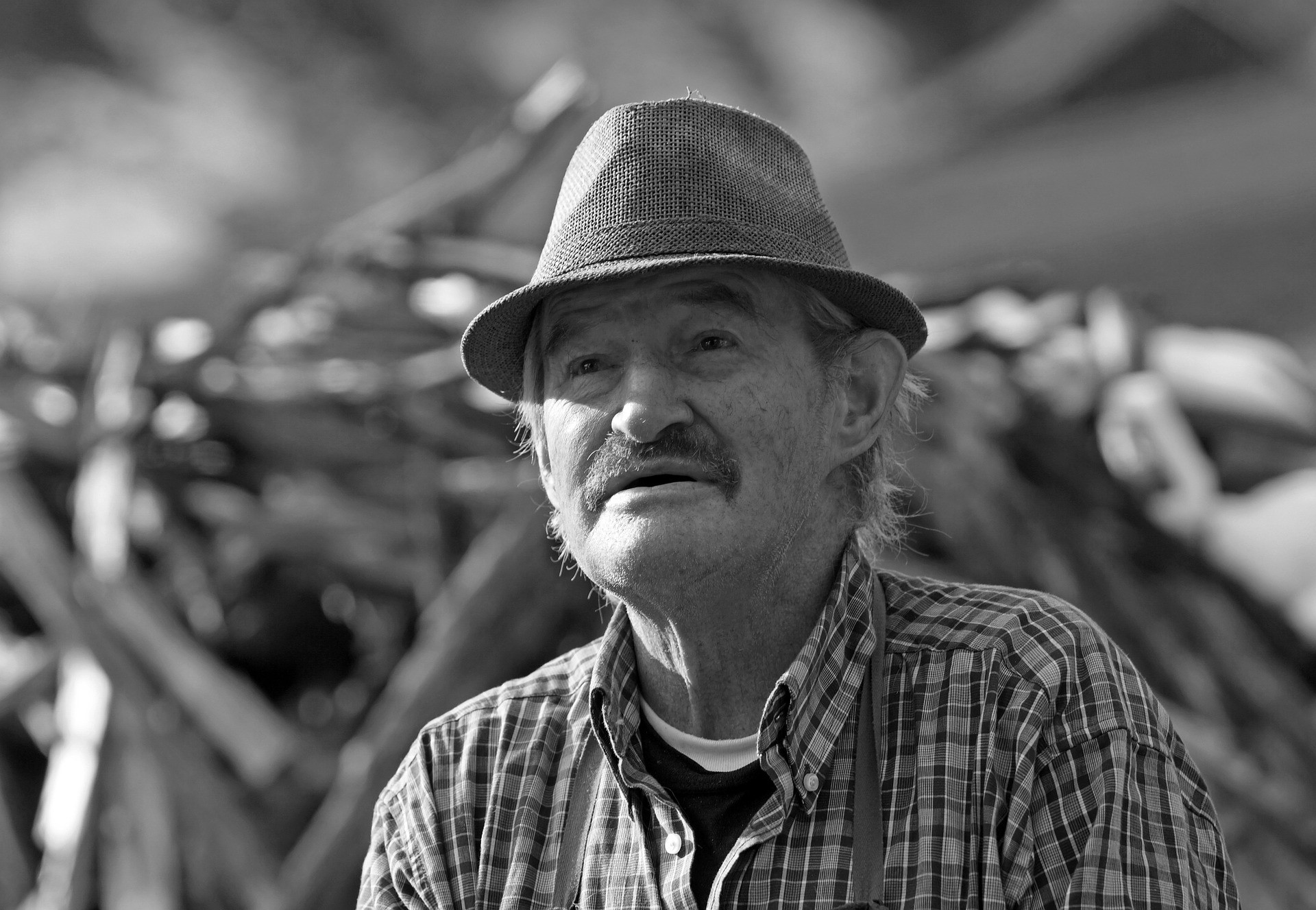 Senior Moving Strategies: How To Help Your Family Member Transition To A New Place